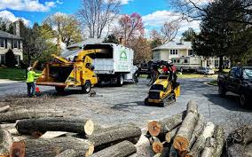 Best Pest Control for Lawns  in Azusa, CA