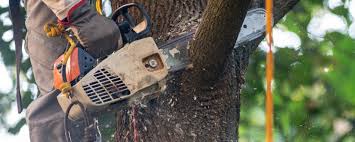 Best Lawn Pest Prevention  in Azusa, CA